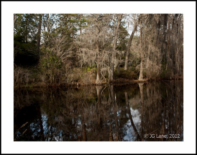 Middleton Plantation (29 of 33).jpg