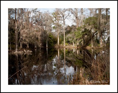 Middleton Plantation (30 of 33).jpg