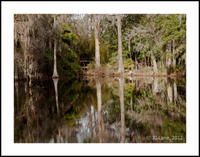 Middleton Plantation (31 of 33).jpg