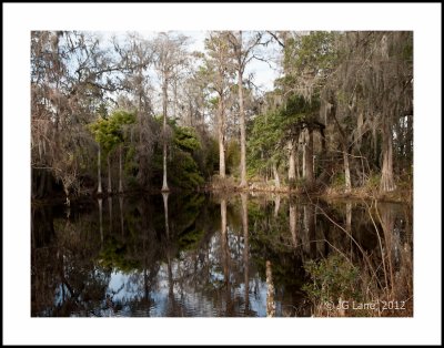 Middleton Plantation (32 of 33).jpg