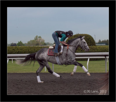 Turallure,  2nd in the April 13th Maker's 46 Mile at Keeneland