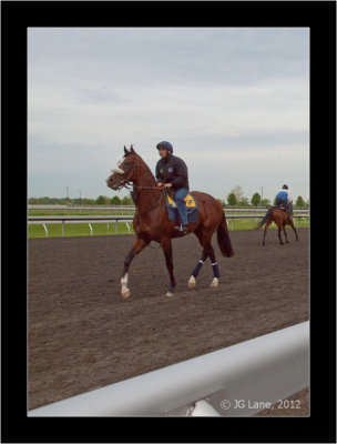 Keeneland Early Morning Workout