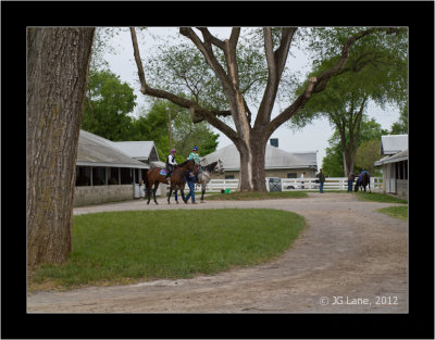 Backstretch Stables