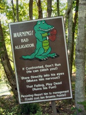 Gator warning