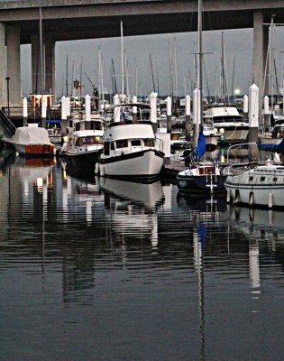City Marina, Charleston SC
