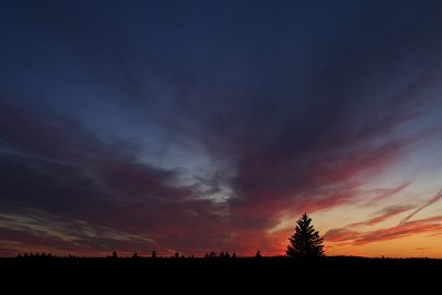 cypress hills sunset 070111_MG_9848
