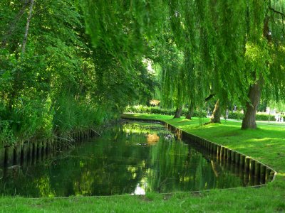Tennison Park.jpg