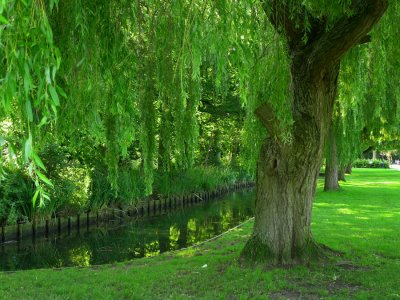 Tennison Park