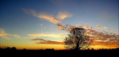 Sunrise in my backyard.jpg