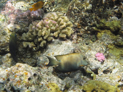 IMG_0878.jpg