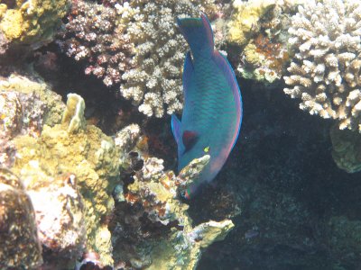 IMG_0888.jpg