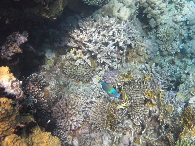 IMG_0889.jpg
