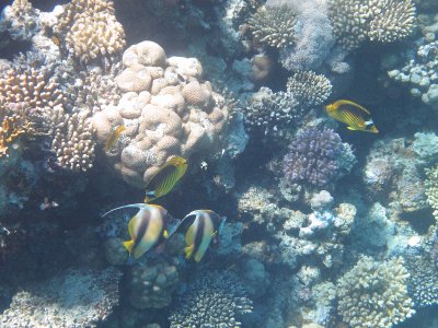 IMG_0979.jpg