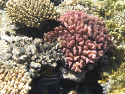 IMG_0983.jpg