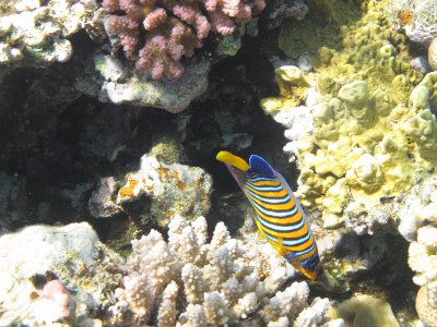 IMG_0984.jpg