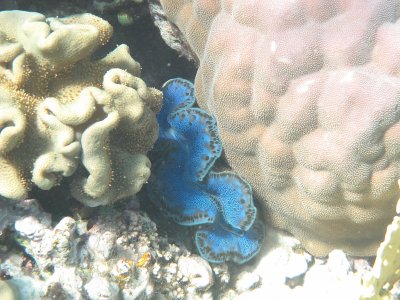 IMG_1026.jpg