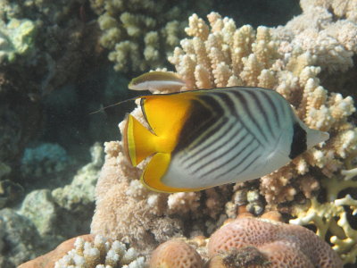 IMG_1054.jpg