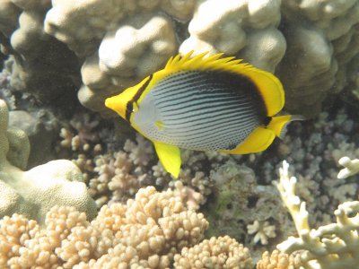 IMG_1056.jpg