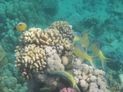 IMG_1078.jpg