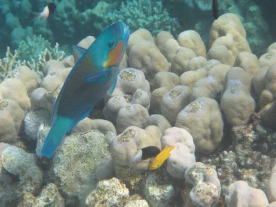 IMG_1097.jpg