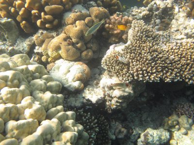 IMG_1129.jpg