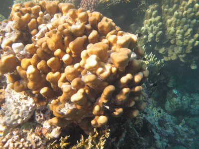 IMG_1142.jpg