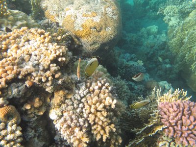 IMG_1170.jpg