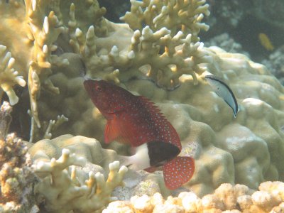 IMG_1205.jpg