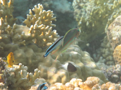 IMG_1207.jpg