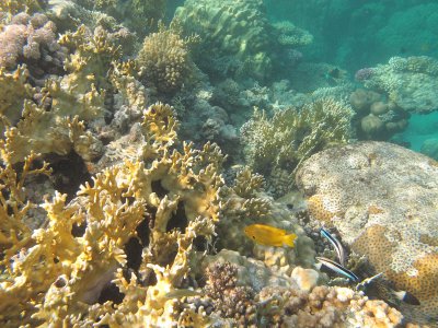 IMG_1212.jpg