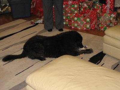 IMG_0475.jpg