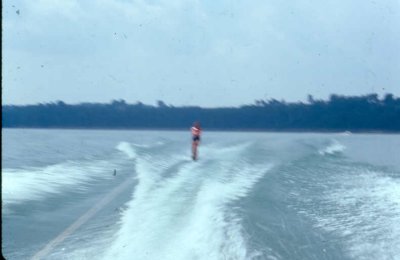 Susan's 35mm slides