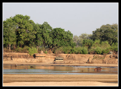 View of the Kaingo Hippo hide from across the river