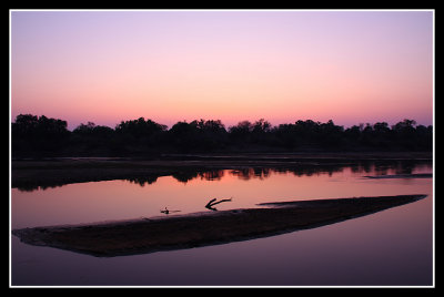 Luangwa Dawn, South Luangwa, Zambia