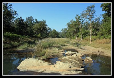 Kanha Landscape, India