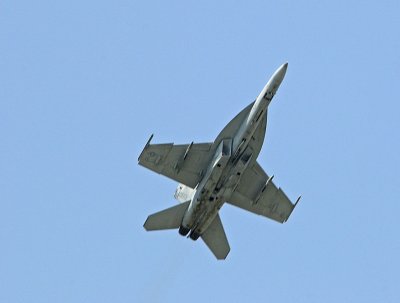 d3c231_0053cs.jpg