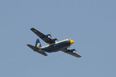 d3c231_0074s.jpg