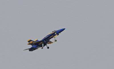 d3c231_0119cs.jpg