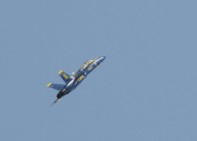 d3c231_0123cs.jpg