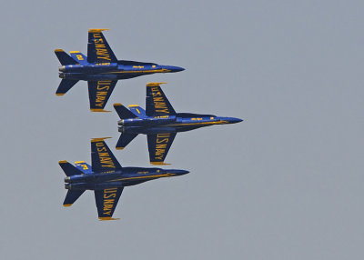 d3c231_0134cs.jpg