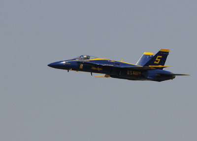 d3c231_0137cs.jpg