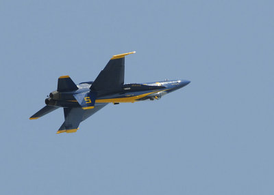 d3c231_0162cs.jpg