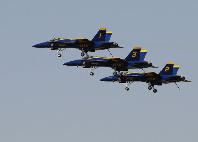d3c231_0188cs.jpg