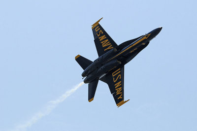 d3c231_0210s.jpg