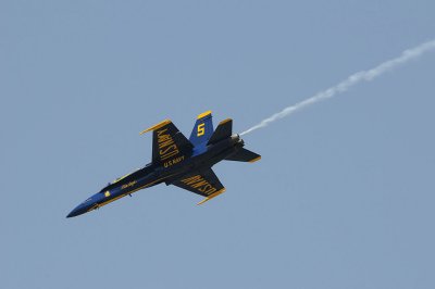 d3c231_0260s.jpg