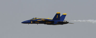 d3c231_0294s.jpg