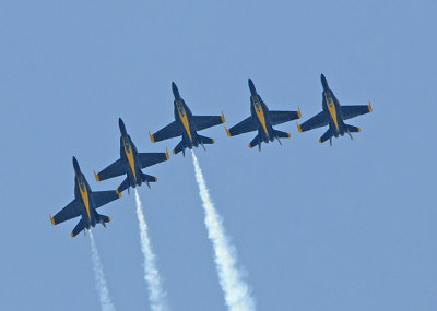 d3c231_0312cs.jpg