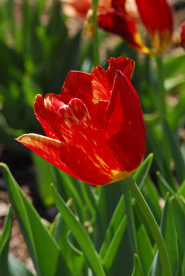 d2c340_0064s.jpg, Mar 26, 2011
