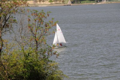 d3c226_0076s.jpg, Mar 26, 2011