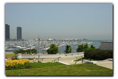 The View From Shedd Aquarium